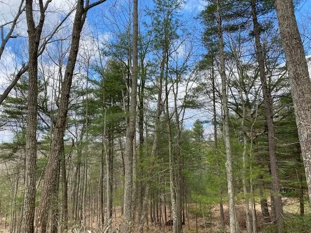 $24,900 | Magnolia Drive, Glen Spey, NY 12737