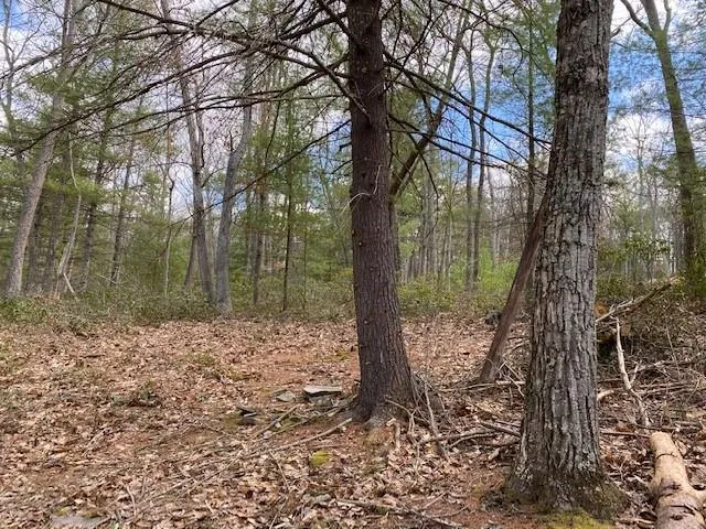 $24,900 | Magnolia Drive, Glen Spey, NY 12737