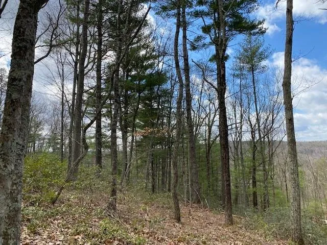 $24,900 | Magnolia Drive, Glen Spey, NY 12737