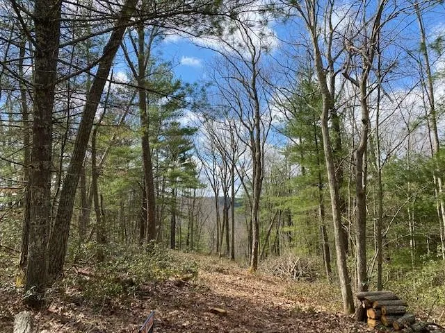 $24,900 | Magnolia Drive, Glen Spey, NY 12737