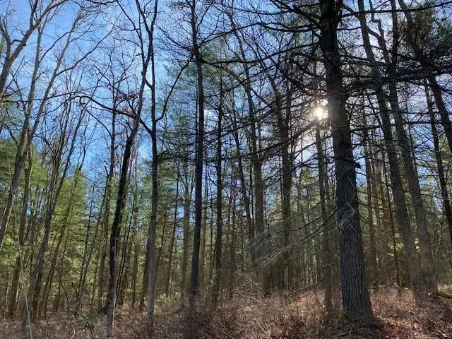 $24,900 | Magnolia Drive, Glen Spey, NY 12737