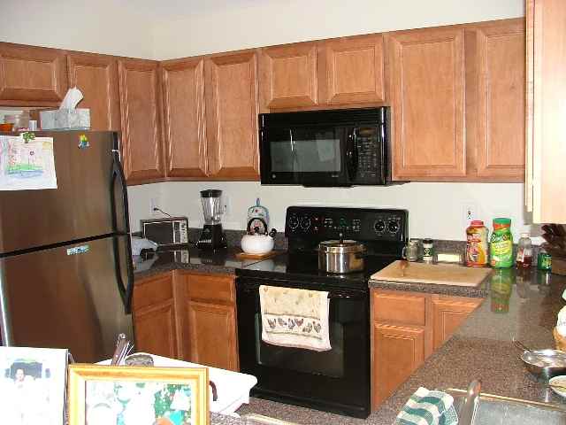 101 Manitou Way Fountain Inn, SC 29644 - Photo 4 of 13 Gallery Image 4