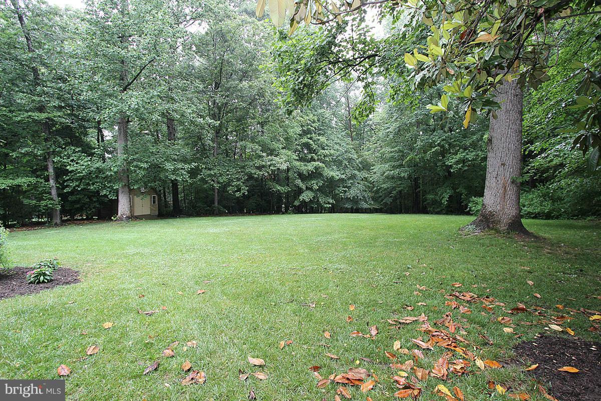 8212 Honeysuckle Road Manassas, VA 20112 - Photo 28 of 30 Spectacular Level One Acre Lot