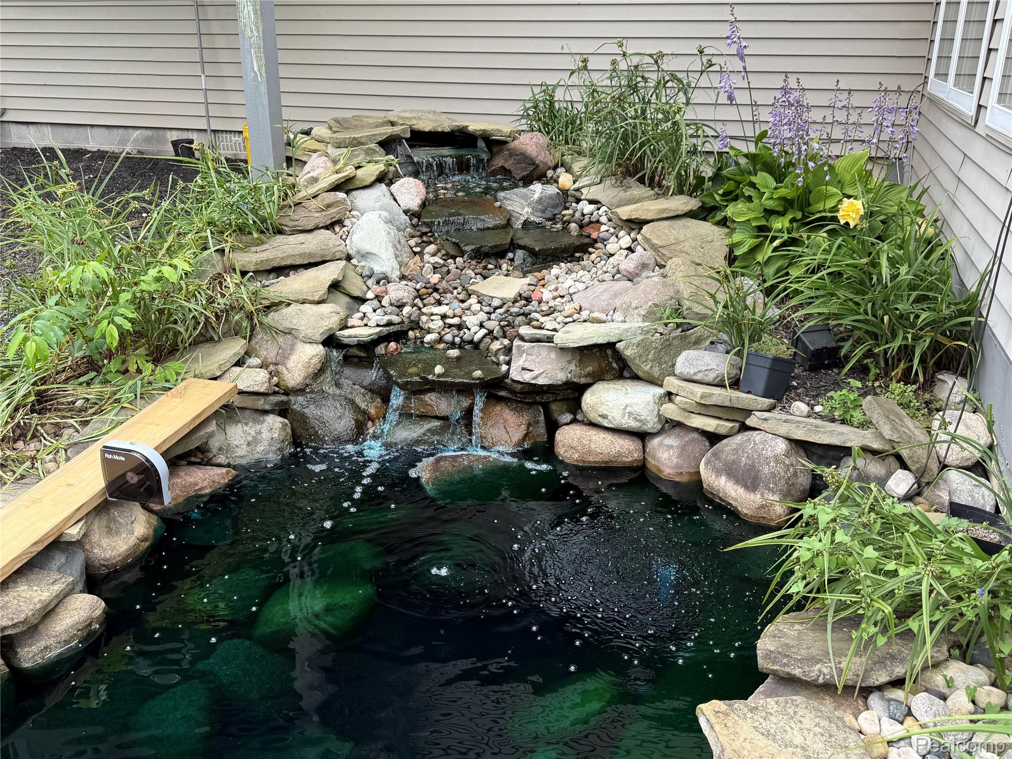 7186 East River Road Flushing, MI 48433 - Photo 25 of 47 Koi pond.jpeg
