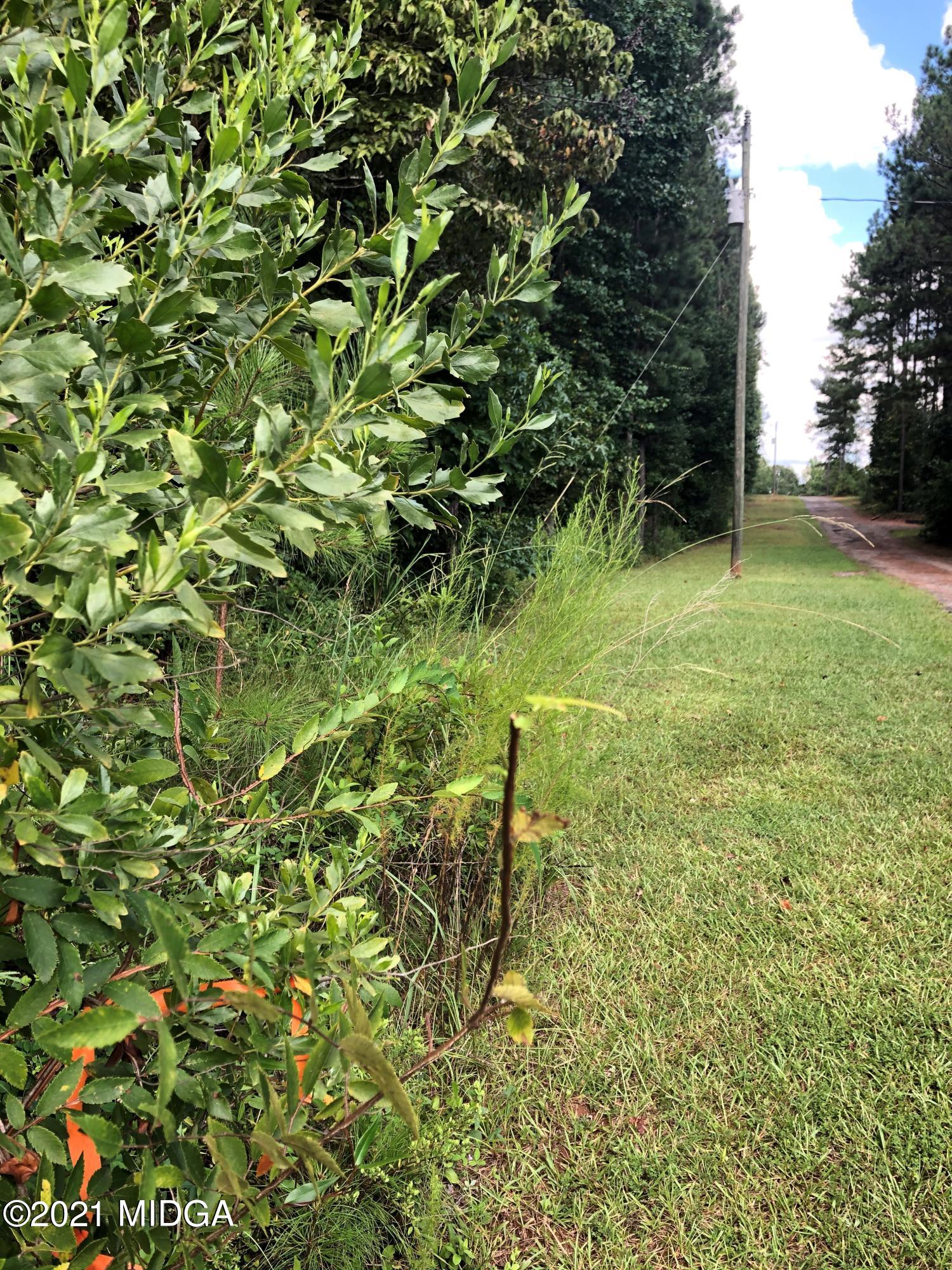 212 Strickland Loop Forsyth, GA 31029 - Photo 11 of 12 IMG_3630