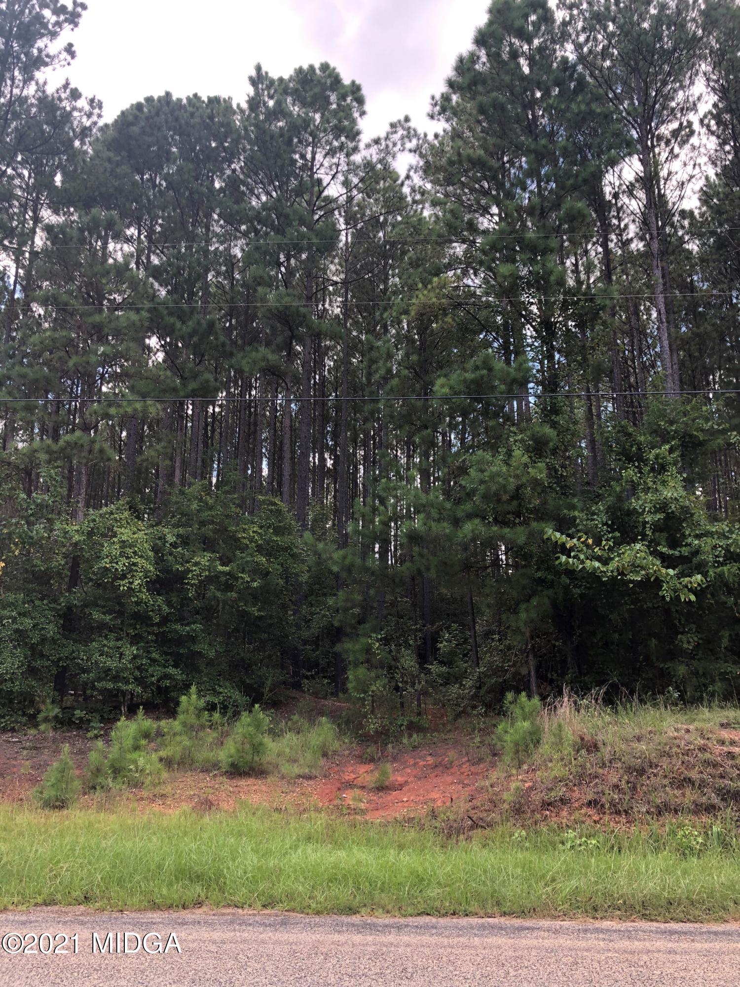 212 Strickland Loop Forsyth, GA 31029 - Photo 8 of 12 IMG_3616