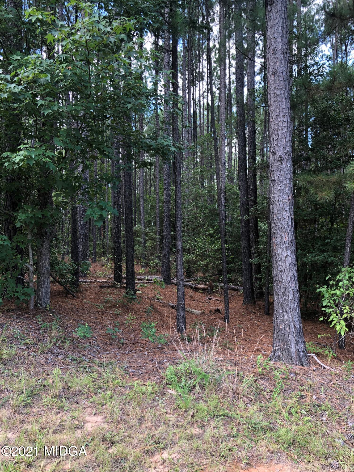 212 Strickland Loop Forsyth, GA 31029 - Photo 9 of 12 IMG_3625