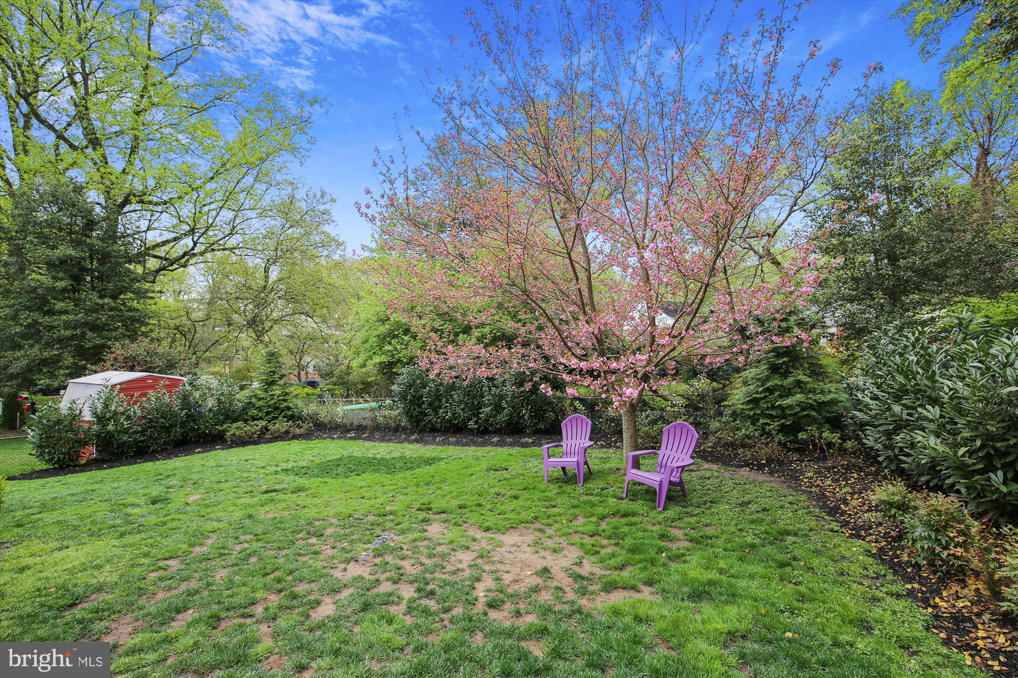1504 Sanford Road Silver Spring, MD 20902 - Photo 35 of 44 Backyard