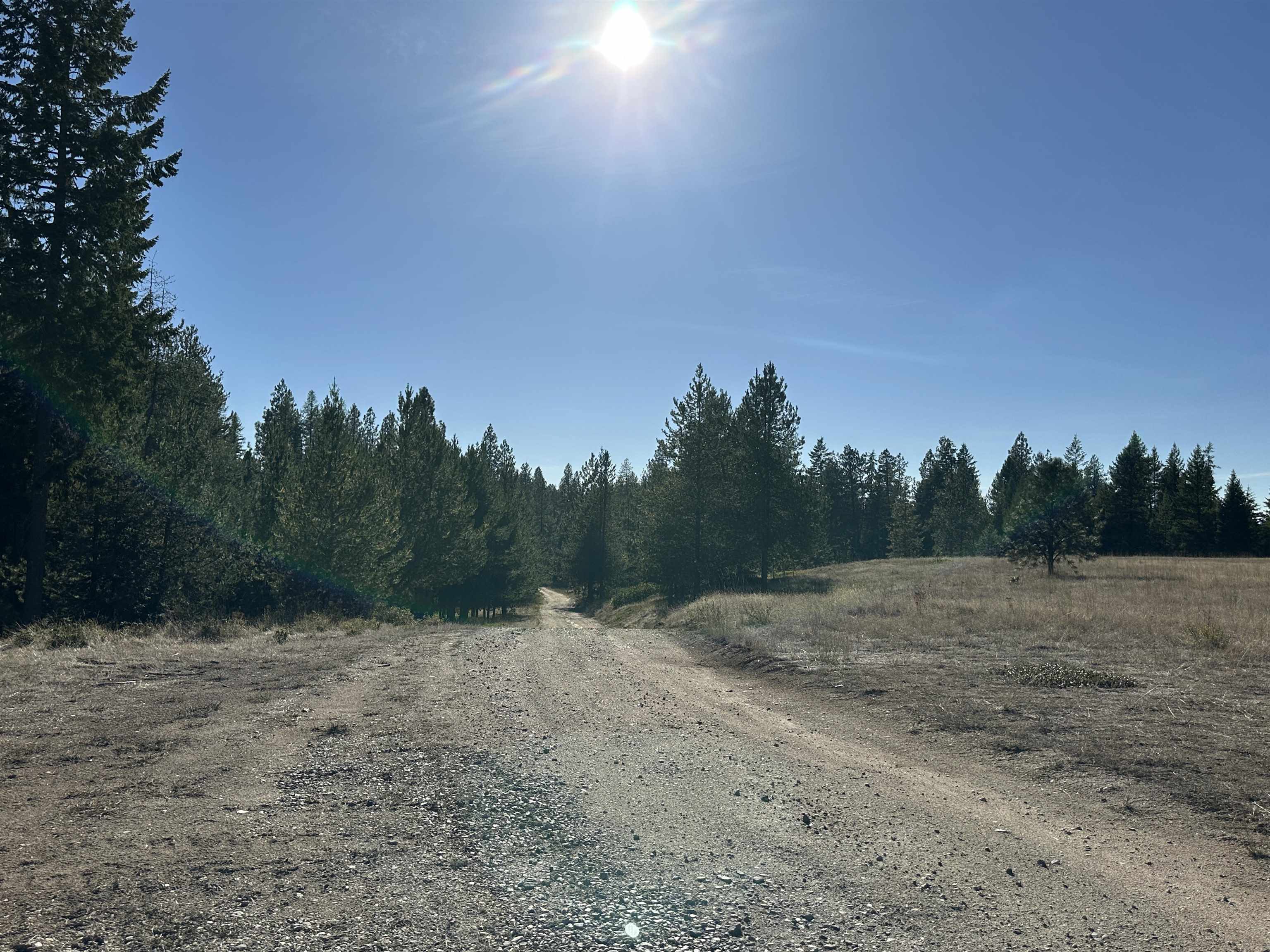 1496 U State Rte 20 Colville, WA 99114 - Photo 43 of 48