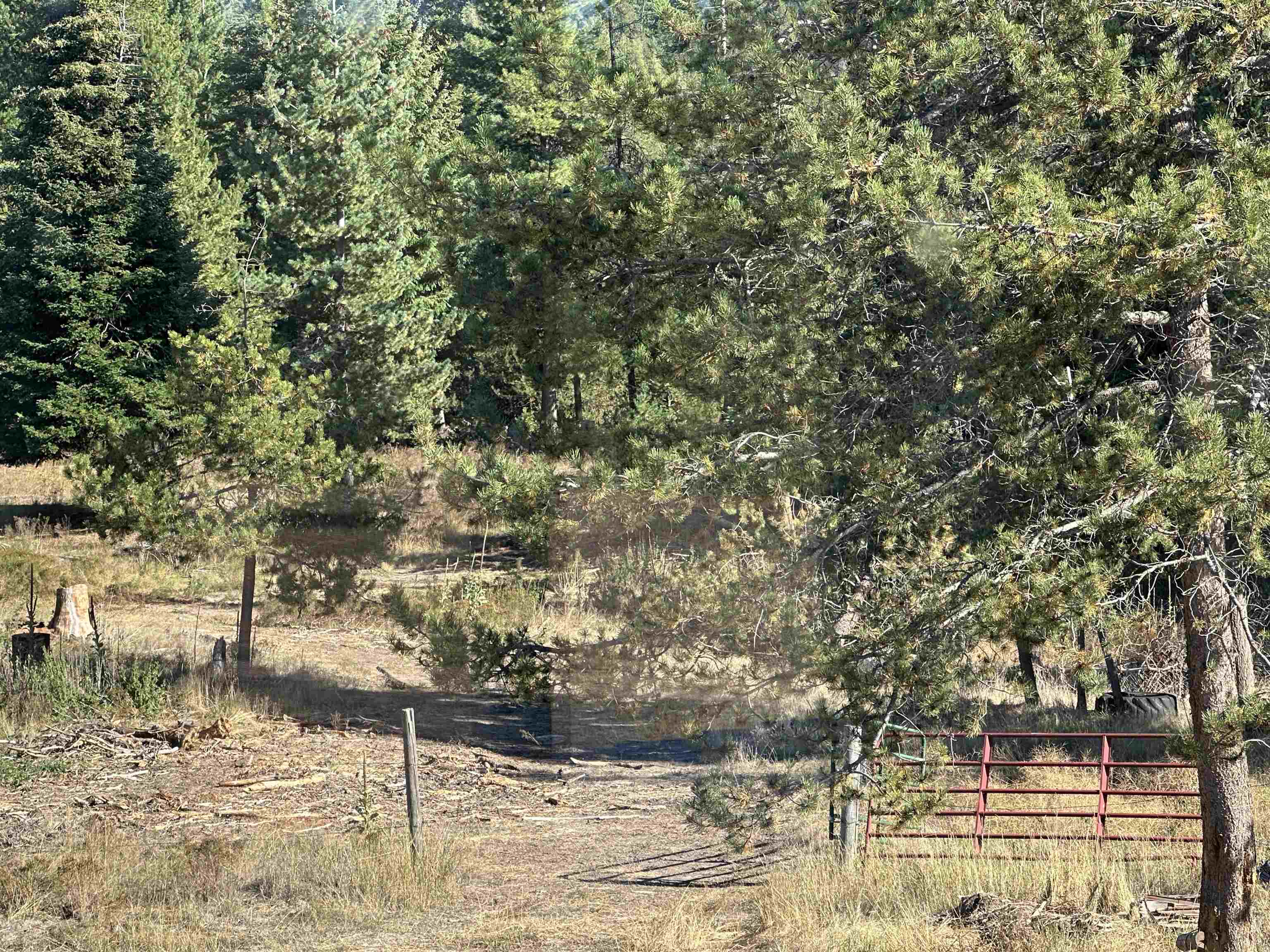 1496 U State Rte 20 Colville, WA 99114 - Photo 44 of 48