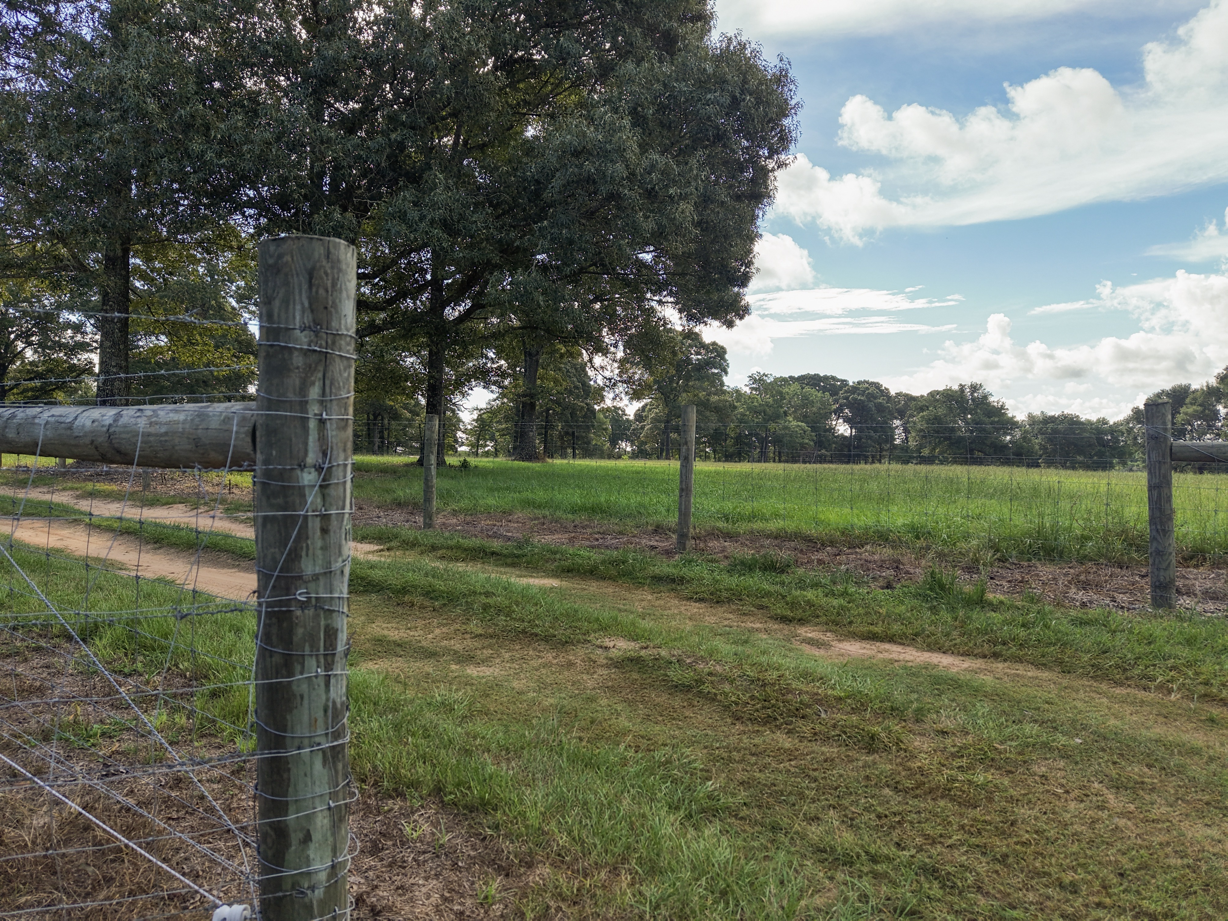 11955 Earl Booth Rd Extension Wilmer, AL 36587 - Photo 38 of 47 Gallery Image 38