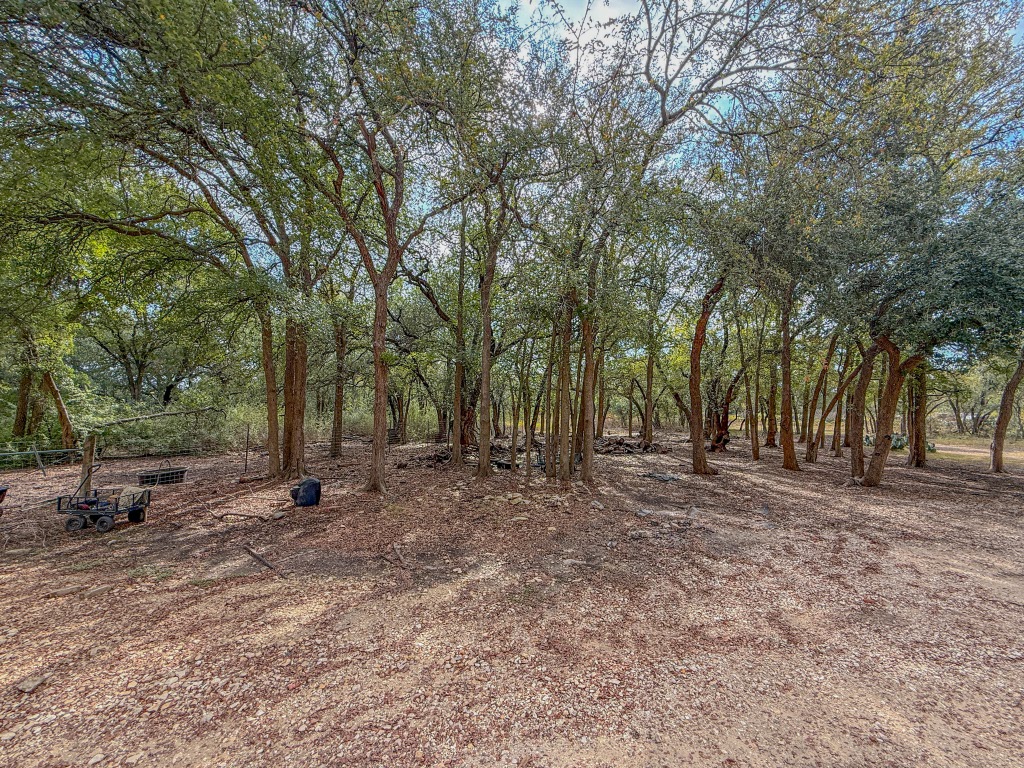 Undisclosed Address Georgetown, TX 78633 - Photo 11 of 37 View of yard