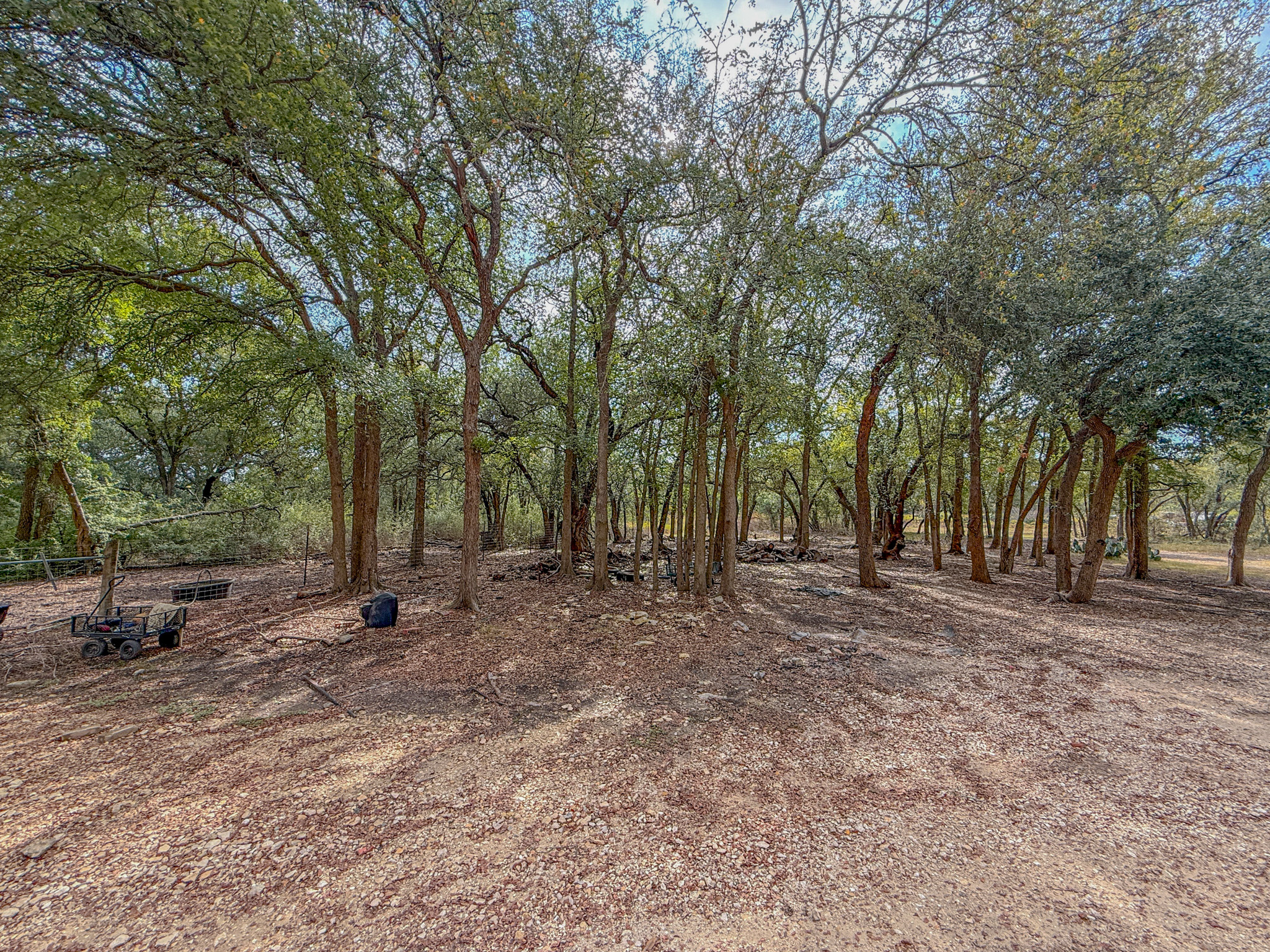 Undisclosed Address Georgetown, TX 78633 - Photo 11 of 37 a view of a forest with trees in the background