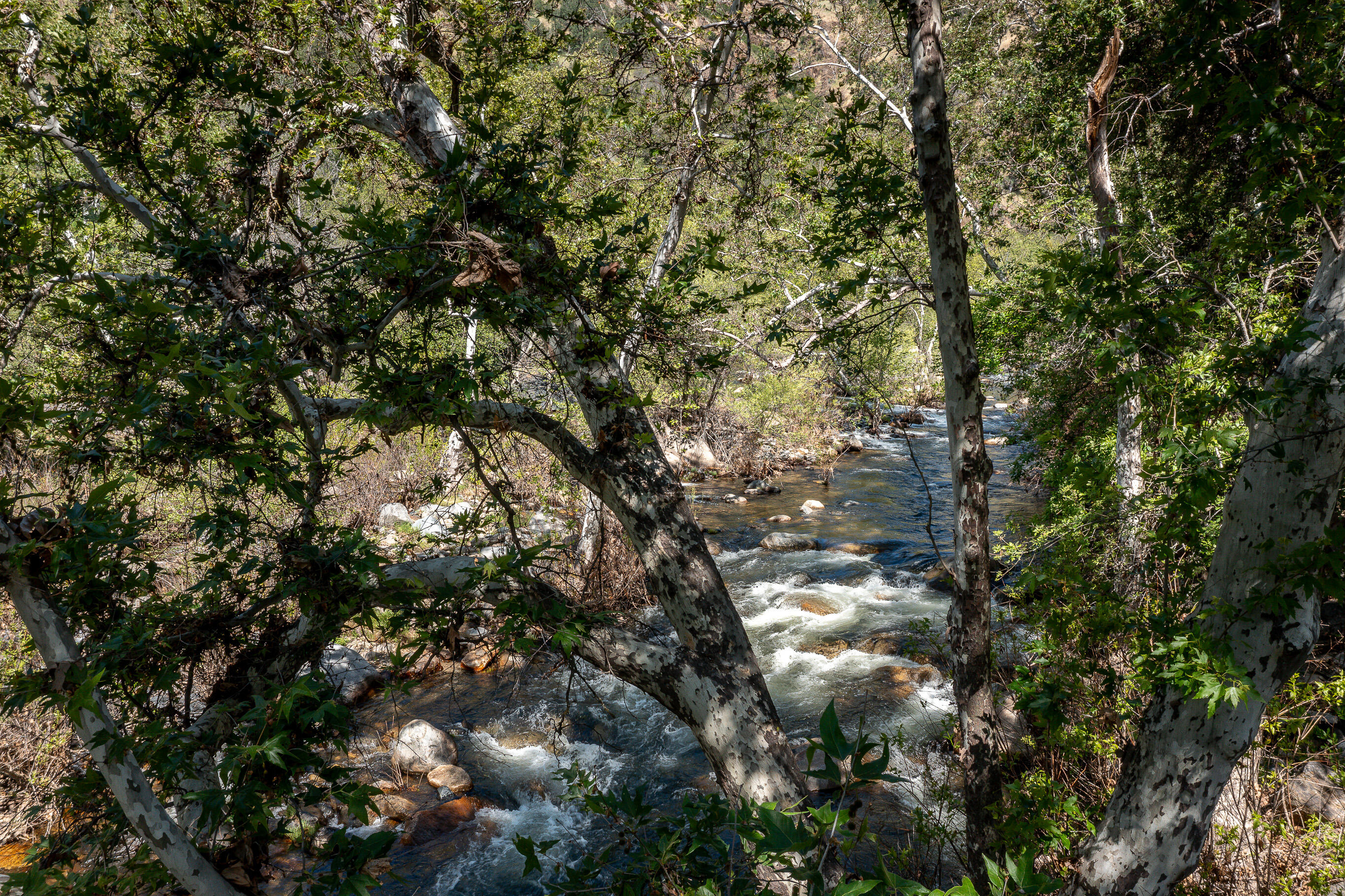 47993 North Fork Drive Three Rivers, CA 93271 - Photo 9 of 46 DJI_0434-HDR