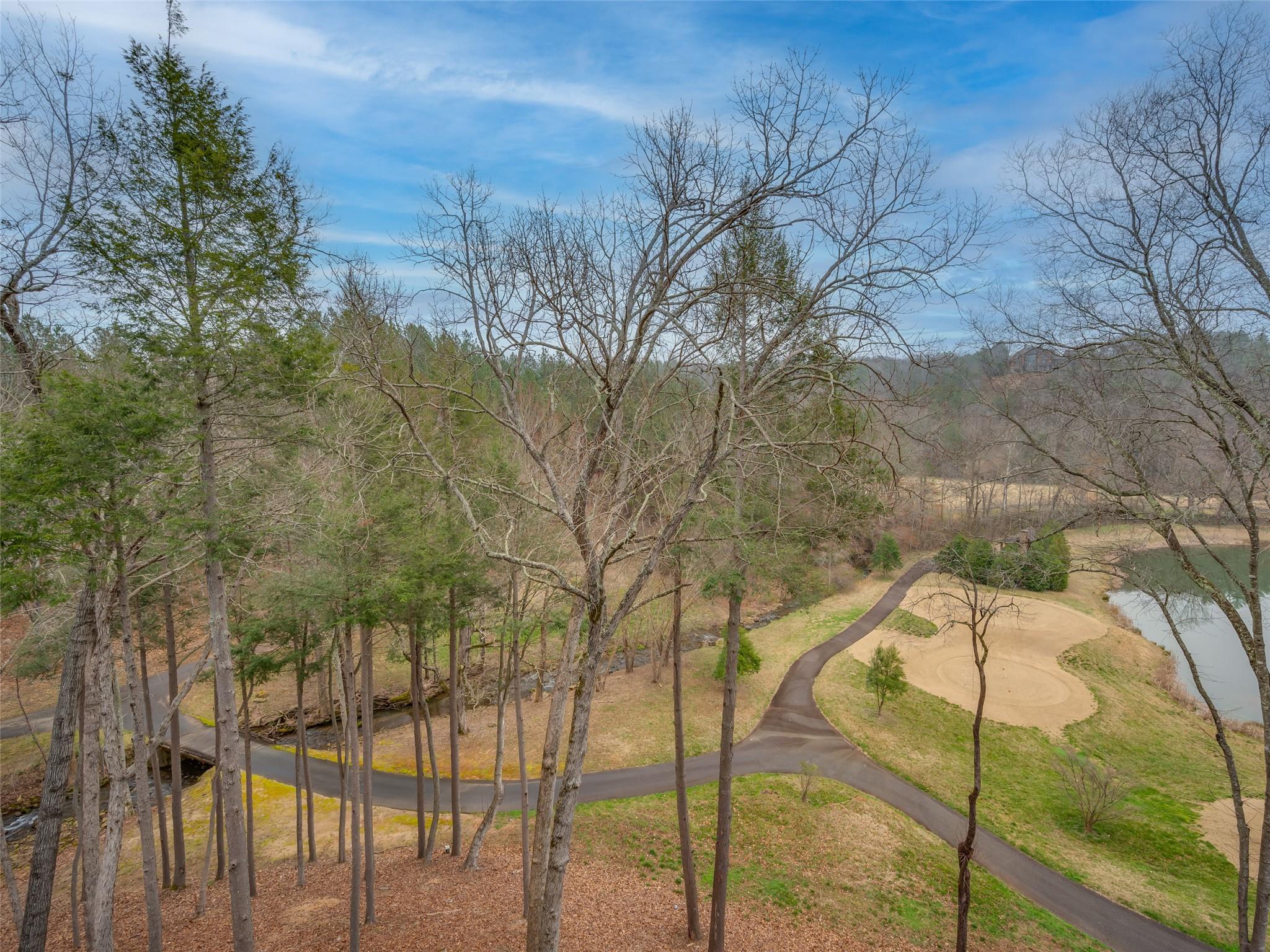 275 Clubhouse, Unit C301 Mill Spring, NC 28756 - Photo 16 of 41 a view of yard