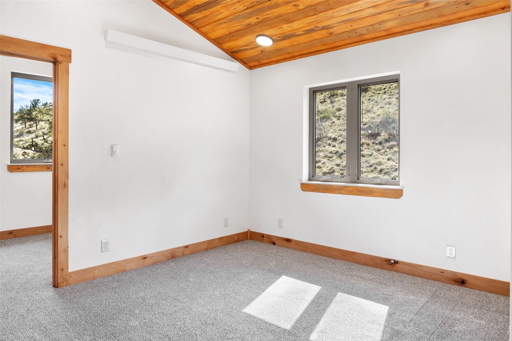 3415 Redhill Road Fairplay, CO 80440 - Photo 24 of 50 an empty room with windows