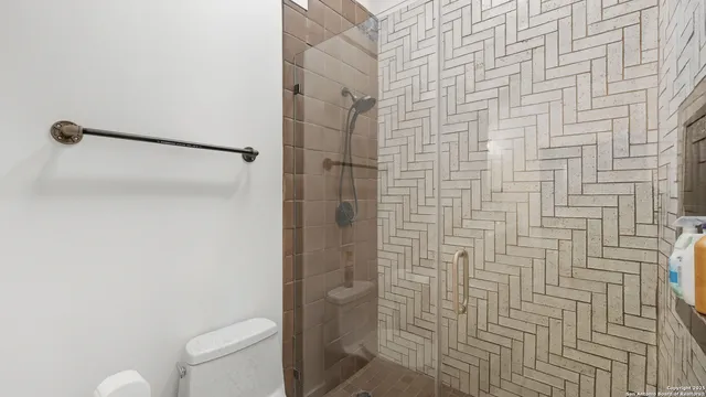 a bathroom with a shower and a toilet