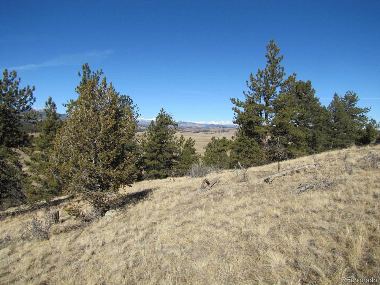 2626 Ranch Road Hartsel, CO 80449 - Photo 14 of 27 a view of a snow on the top of a road