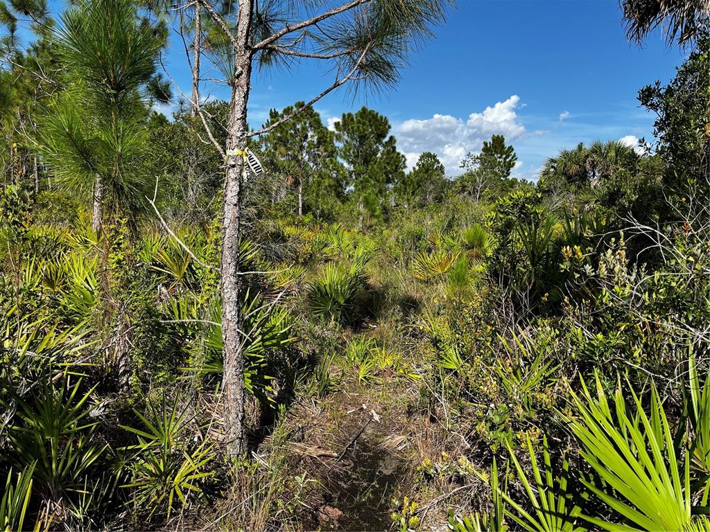 50204 Bermont Road Punta Gorda, FL 33982 - Photo 31 of 50 Gallery Image 31