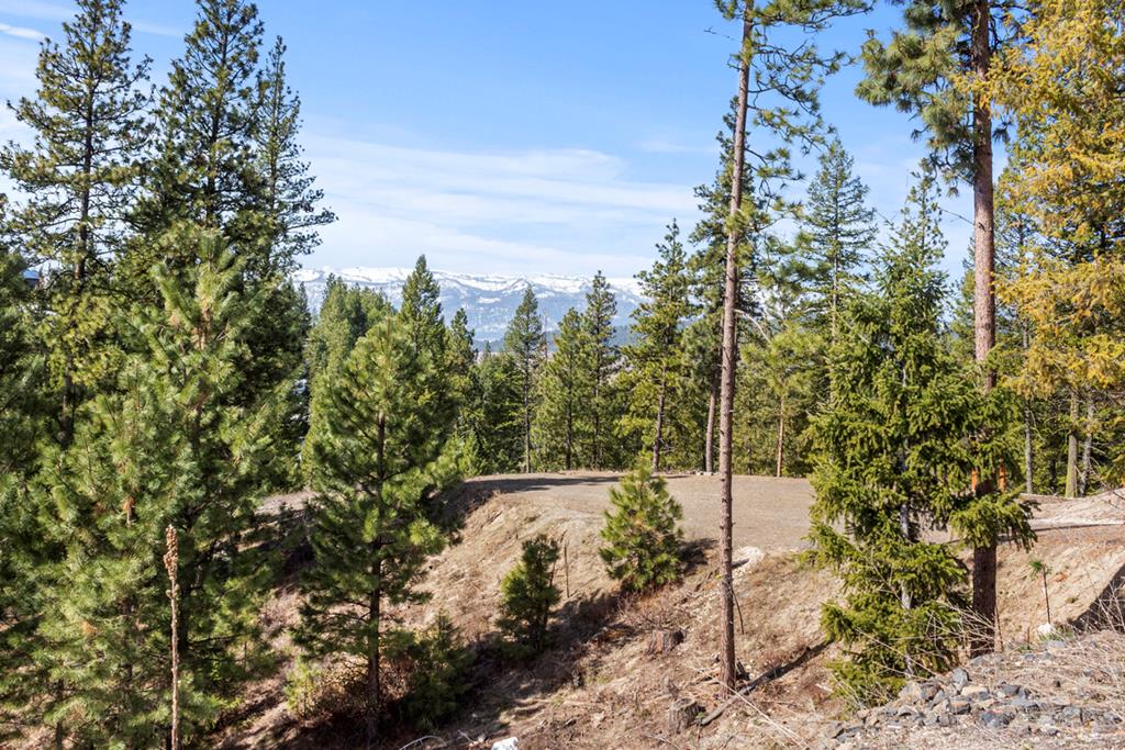 17 Tito Trail, Unit 1 Cascade, ID 83611 - Photo 1 of 16 Main View