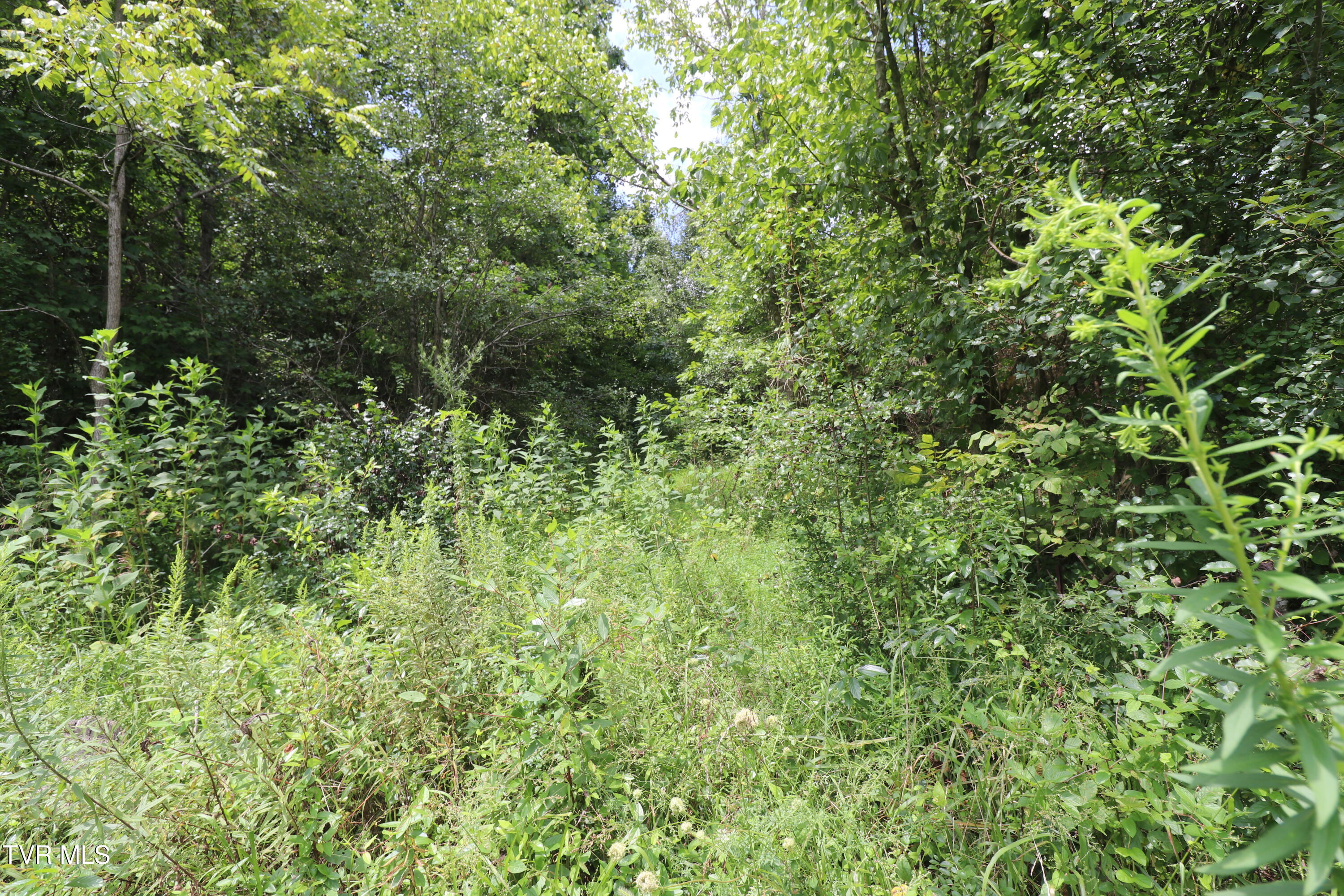499 Rodefer Hollow Road, Unit 2 Blountville, TN 37617 - Photo 3 of 6 IMG_2799