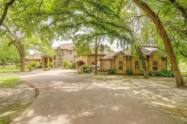a view of a large trees in front of a building