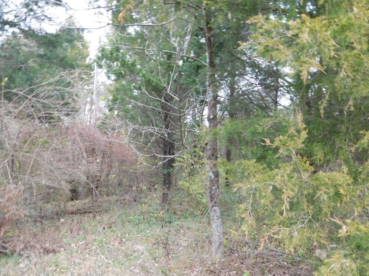 6101 Tapps Ridge Road Vevay, IN 47043 - Photo 5 of 7