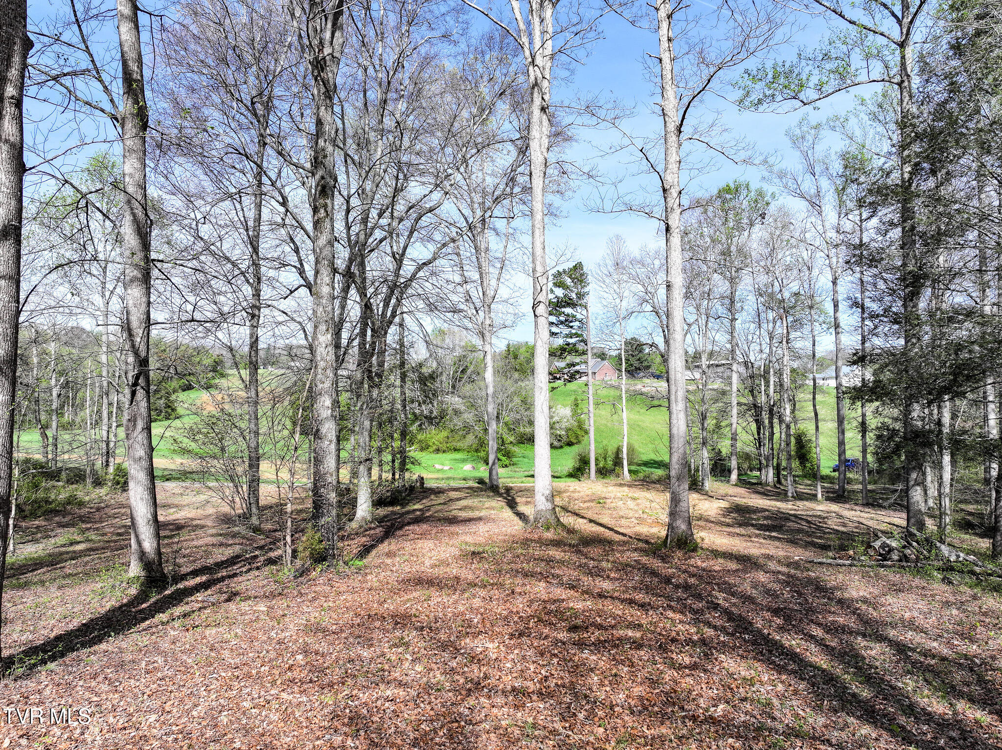 190 Treadway Road Chuckey, TN 37641 - Photo 8 of 34 DJI_20260406094221_0400_D