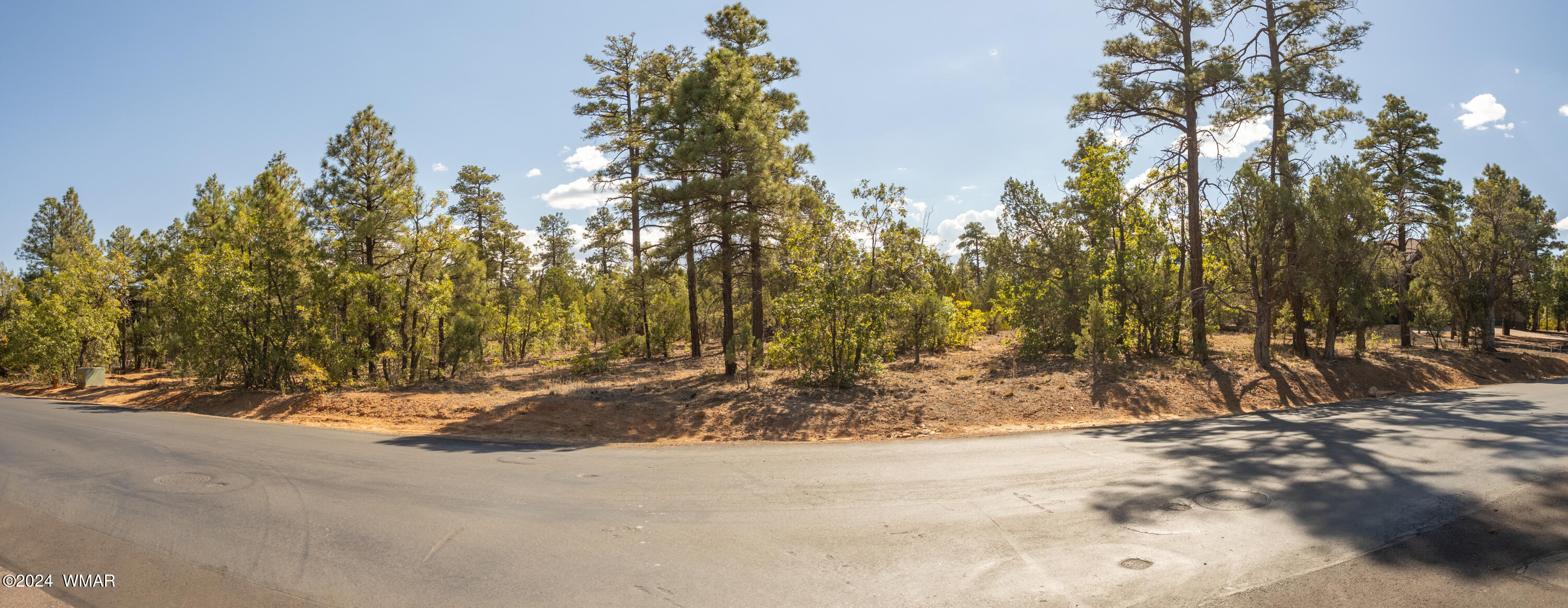 221 South Falling Leaf Road Show Low, AZ 85901 - Photo 9 of 11 paxmanphotography--7