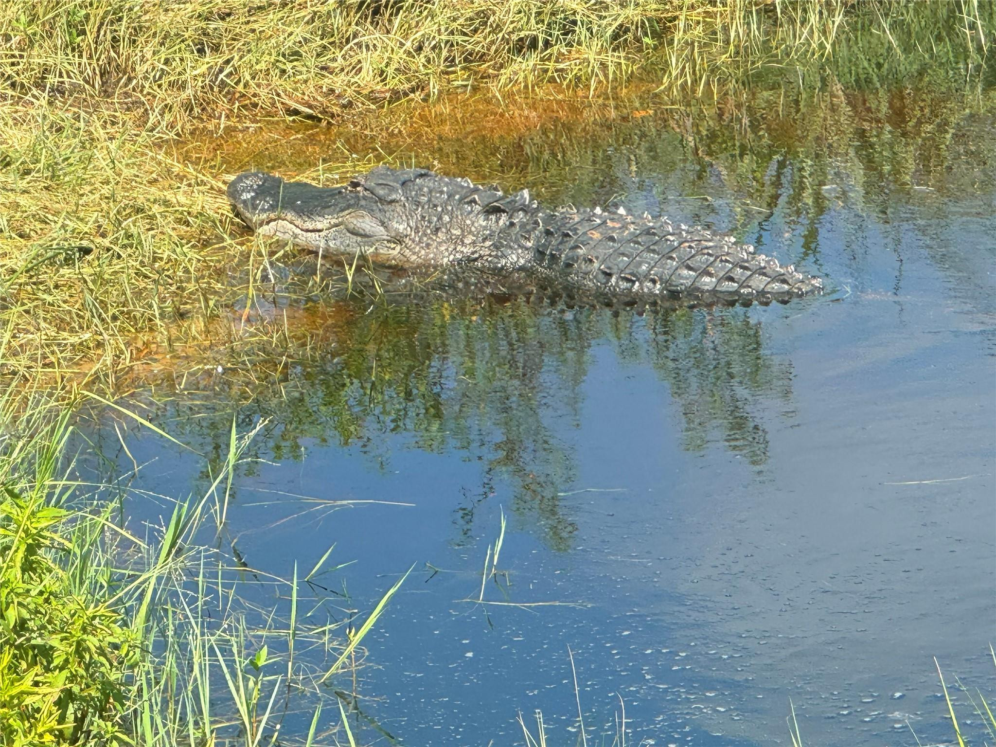 0 Co Road Clewiston, FL 33440 - Photo 29 of 40 Photo 27