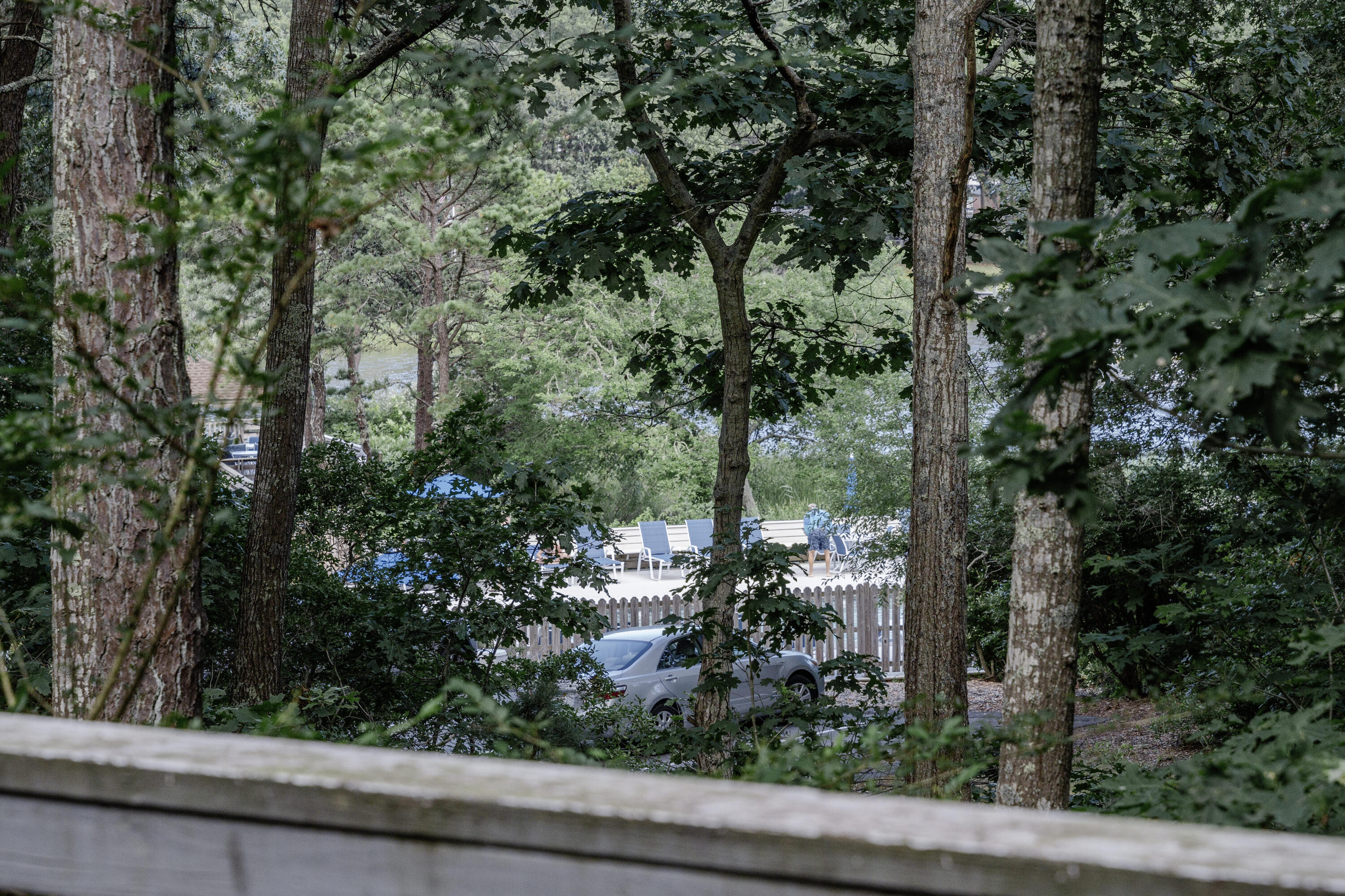 32 Sandy Reach Teaticket, MA 02536 - Photo 19 of 25 a view of a garden with plants