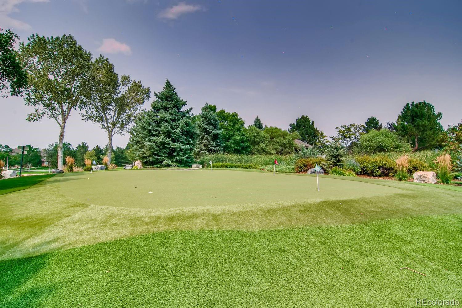 8578 Gold Peak Drive, Unit D Highlands Ranch, CO 80130 - Photo 26 of 50 a view of a big yard with swimming pool and green space