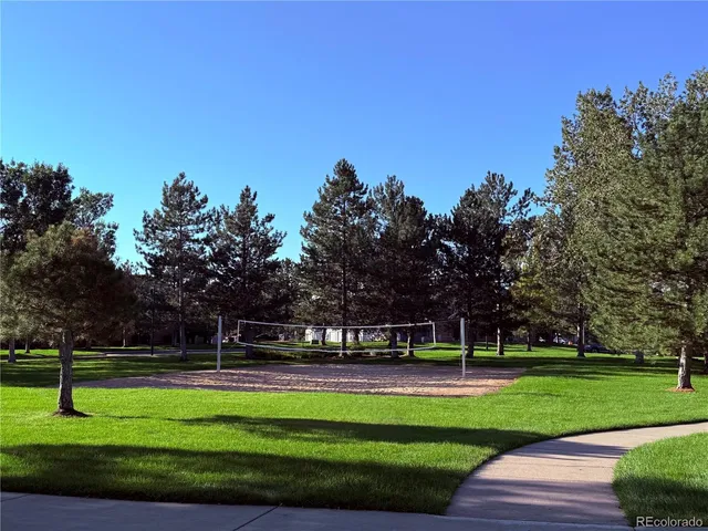 a swimming pool with lots of tress in front of it