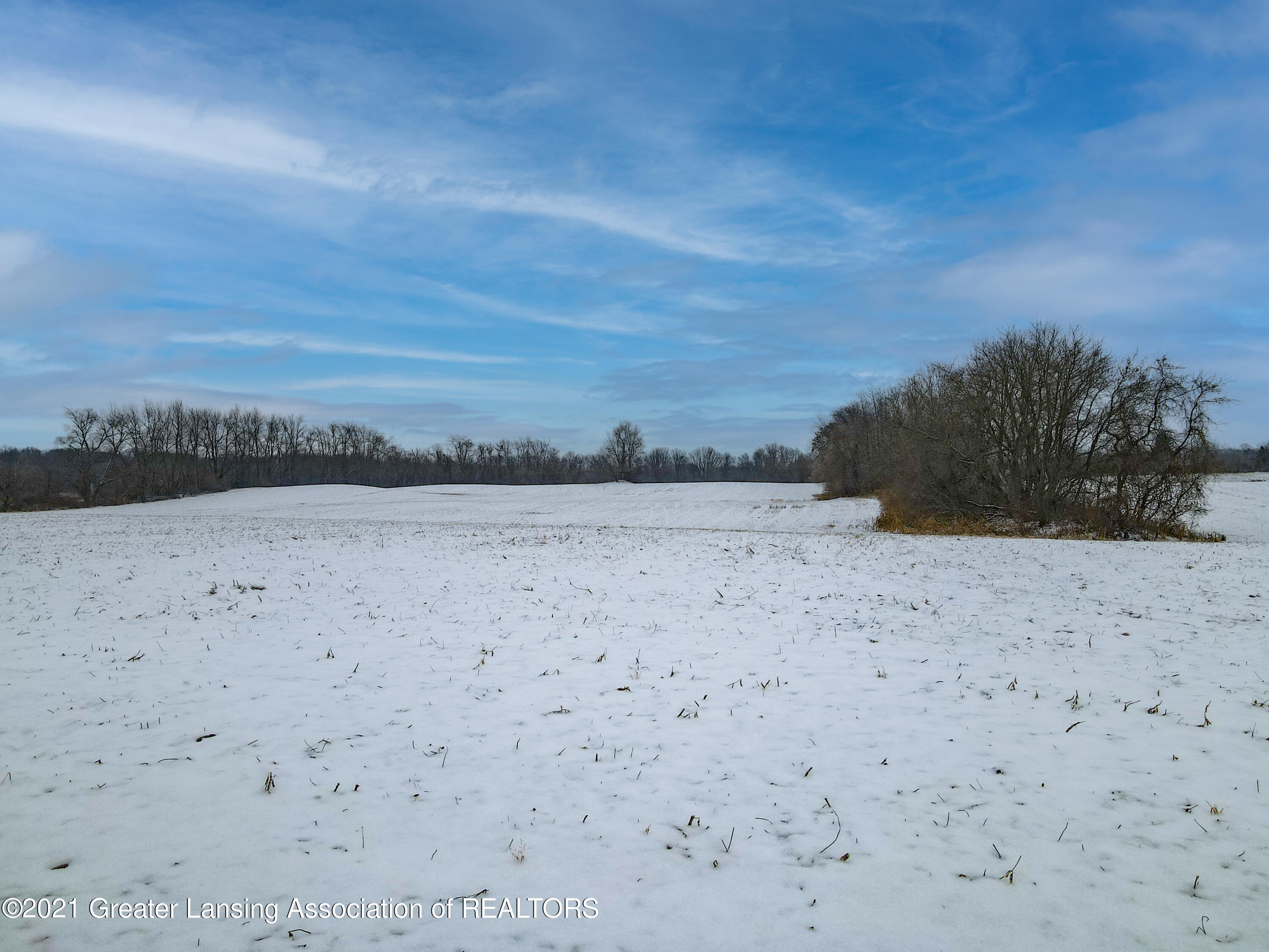 0 Tubbs Road Charlotte, MI 48813 - Photo 20 of 20 Tubbs_Rd_VL-20