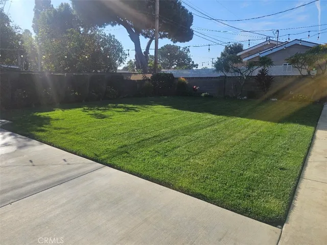 a view of a backyard