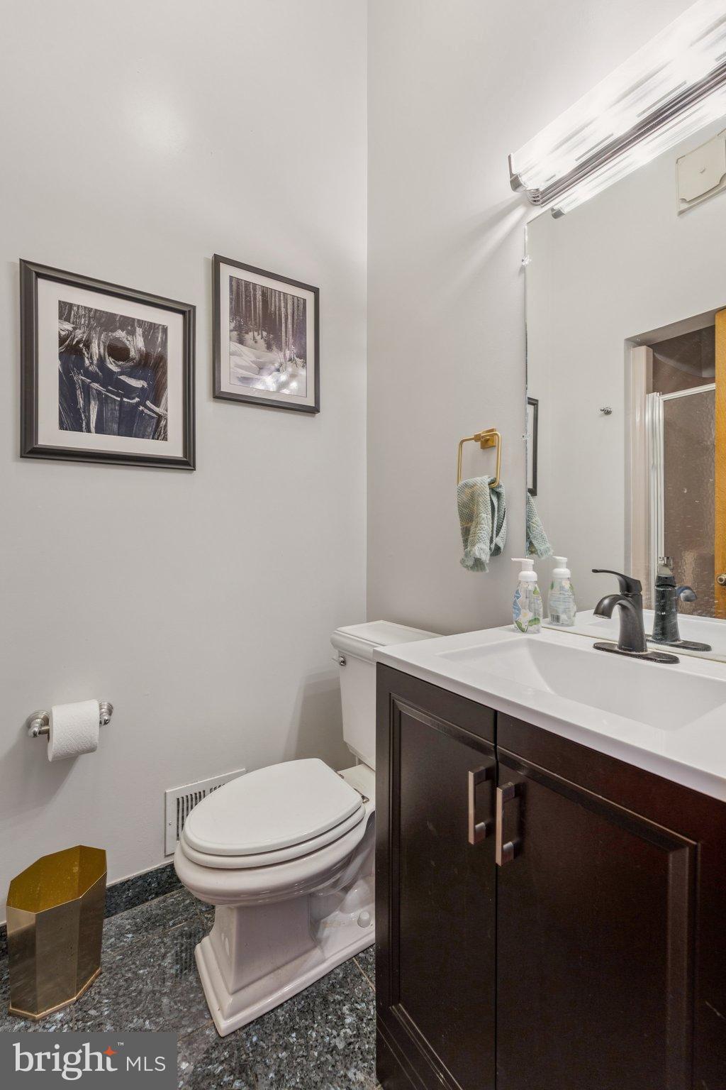 1684 Chain Bridge Road McLean, VA 22101 - Photo 11 of 23 a bathroom with a toilet a sink and mirror