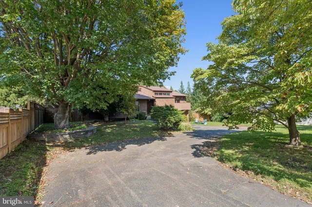 a view of a garden with a bench