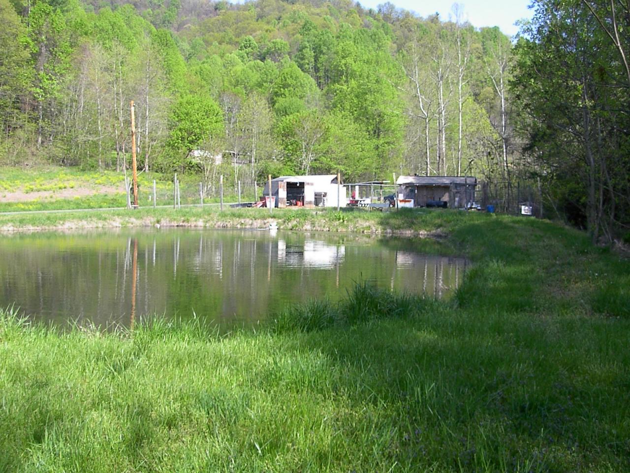 a backyard of a house with lots of green space and lake view