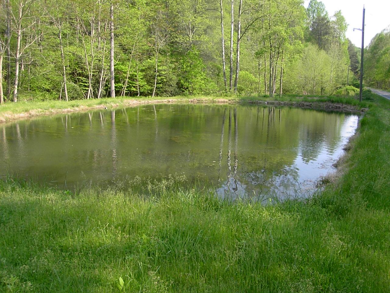 14460 Callaway Road Callaway, VA 24067 - Photo 3 of 11 a view of a lake view with a garden