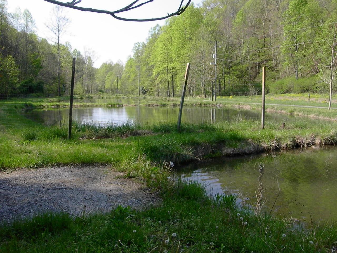 14460 Callaway Road Callaway, VA 24067 - Photo 4 of 11 a view of a lake view with a big yard