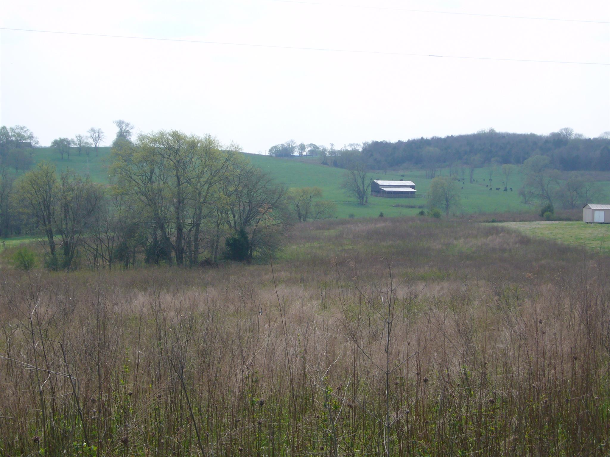 34 Duncan Road Hartsville, TN 37074 - Photo 3 of 9 Gallery Image 3