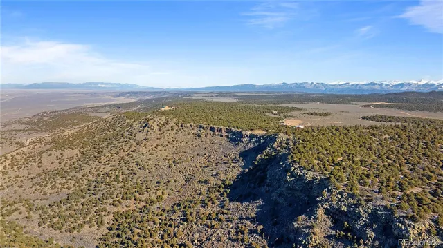 a view of a forest with mountains in the background