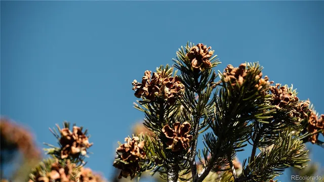 a view of an ocean beach and mountain