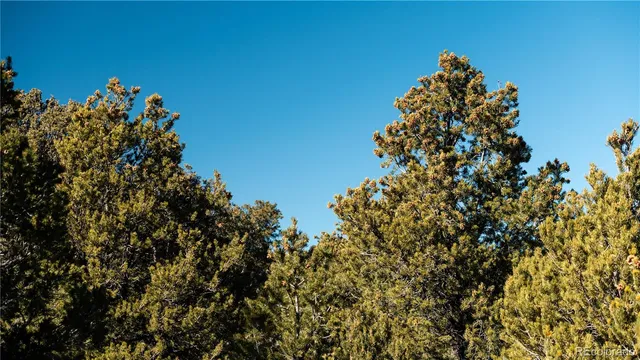 a view of lake and mountain
