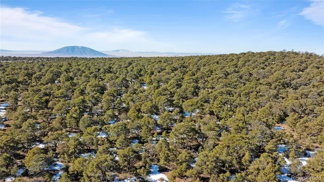 $42,500 | Lot 90 Elk Park Road, San Luis, CO 81152