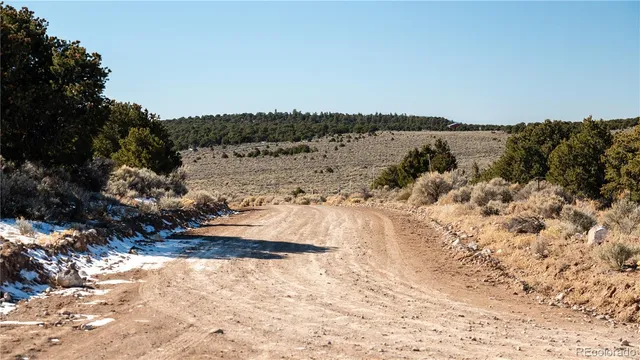 $42,500 | Lot 90 Elk Park Road, San Luis, CO 81152
