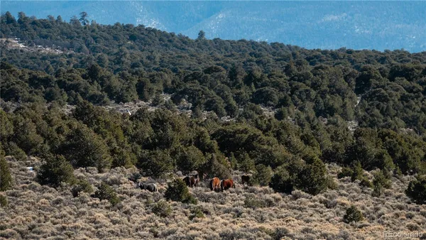 a view of an outdoor space and a mountain view