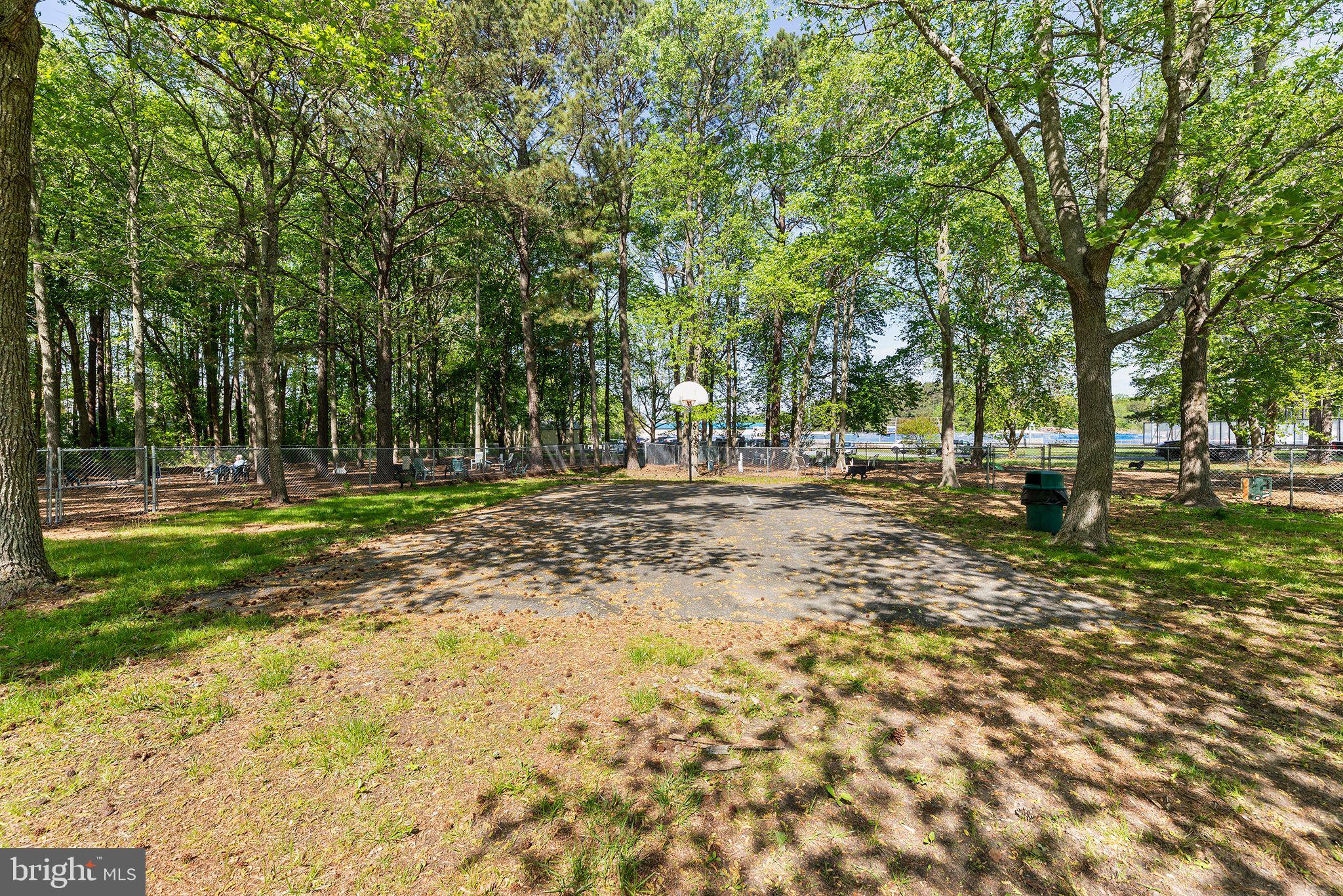 11431 Manklin Creek Road, Unit 5 Berlin, MD 21811 - Photo 22 of 38 a view of outdoor space with trees all around