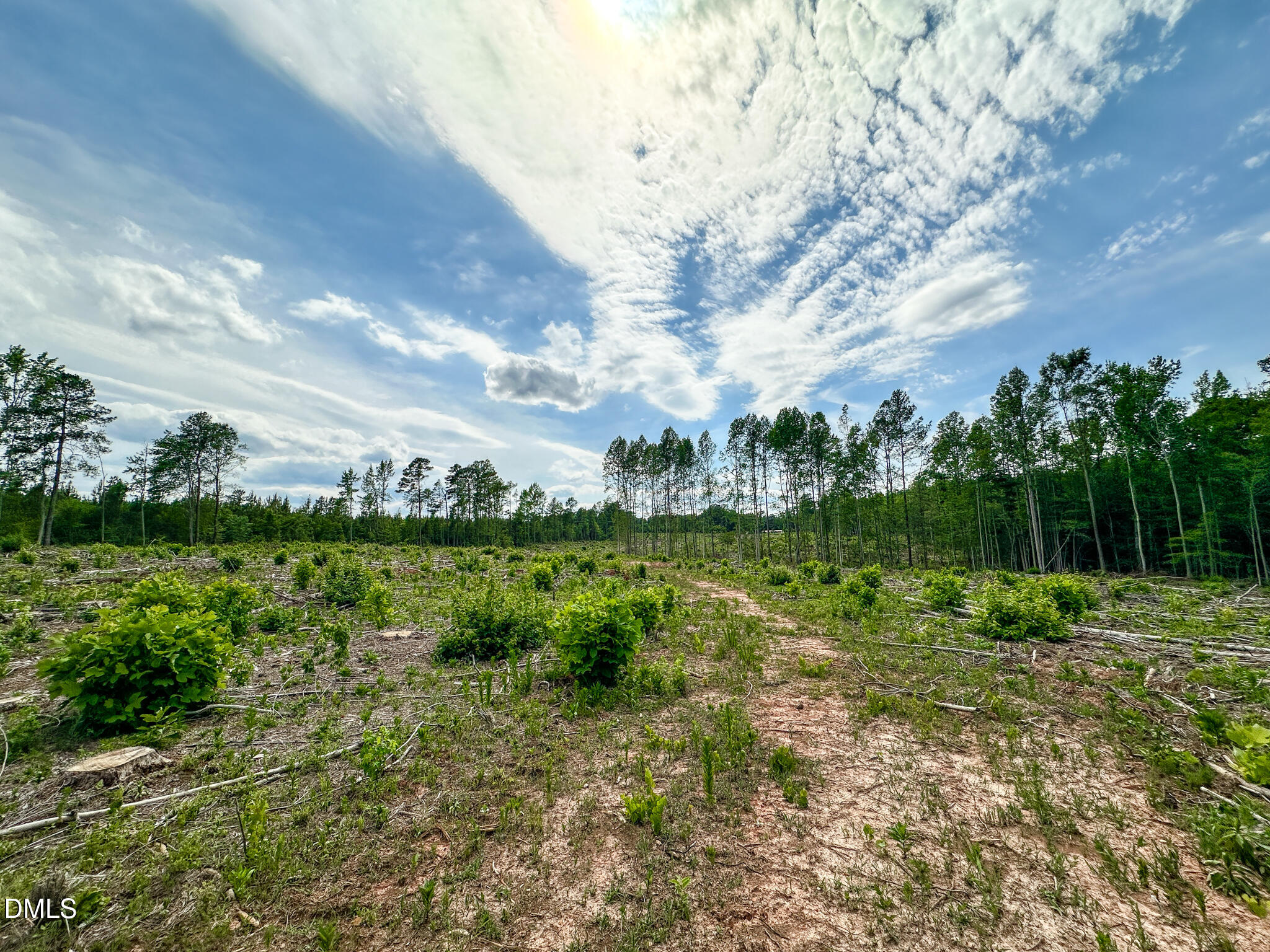 0 Baltimore Road Warrenton, NC 27589 - Photo 5 of 13