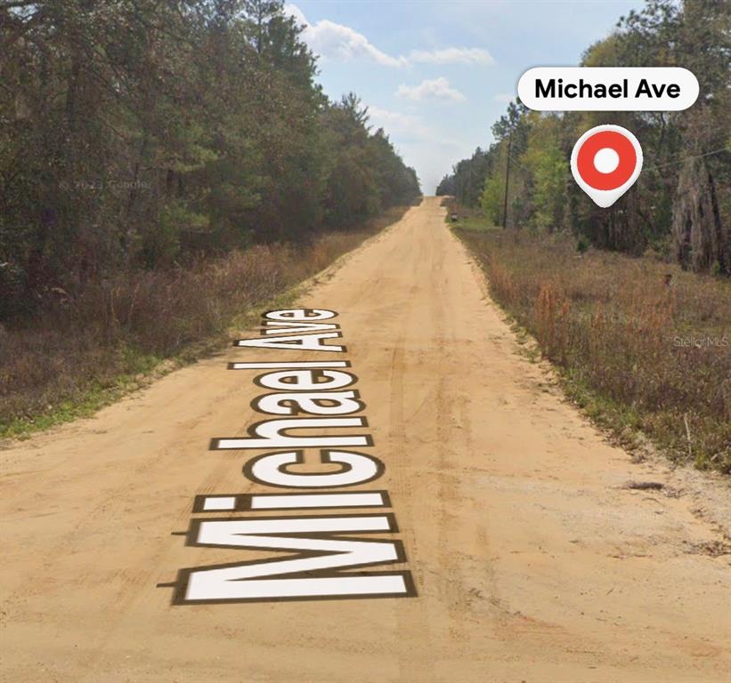 Michael Avenue Interlachen, FL 32148 - Photo 2 of 6
